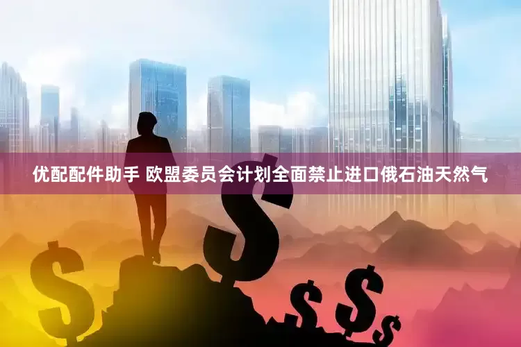 优配配件助手 欧盟委员会计划全面禁止进口俄石油天然气