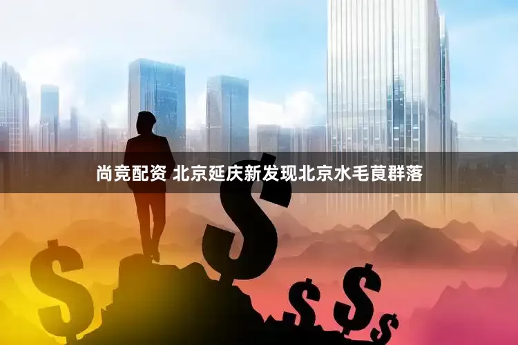 尚竞配资 北京延庆新发现北京水毛茛群落
