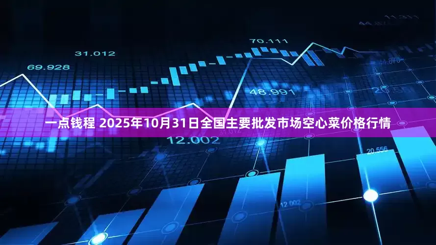 一点钱程 2025年10月31日全国主要批发市场空心菜价格行情