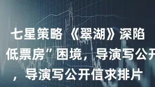 七星策略 《翠湖》深陷“高口碑、低票房”困境，导演写公开信求排片
